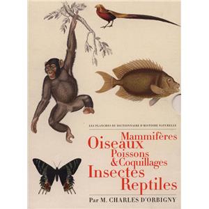 [ORBIGNY (d')] LES PLANCHES DU "DICTIONNAIRE D'HISTOIRE NATURELLE" : Mammifres, Oiseaux, Poissons & Coquillages, Insectes, Reptiles (5 volumes) - Par M. Charles d'Orbigny