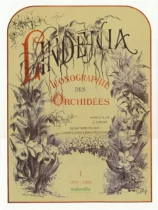 LINDENIA. Iconographie des orchides, 5 volumes, 1885-1906 - Jean-Jules Linden et Emile Rodigas + PESCATOREA. Iconographie des orchides [1854] - 1860 par Jean Linden