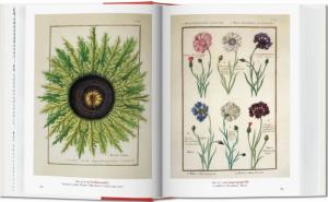 A GARDEN EDEN. Masterpieces of Botanical Illustration/Un jardin d'Eden, " 40th Anniversary Edition " - Hans Walter Lack