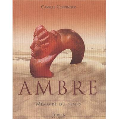 [Techniques diverses] AMBRE. Mémoire du temps - Camille Coppinger