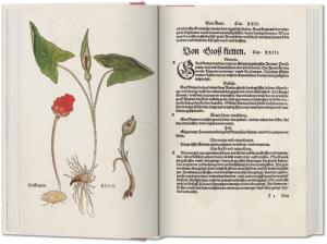 LE NOUVEL HERBIER. Edition complète et coloriée de 1545 - Leonhart Fuchs (livre + livret)