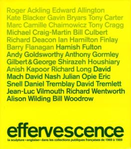 EFFERVESCENCE. La sculpture " anglaise " dans les collections publiques françaises de 1969 à 1989 - Catalogue d'exposition (Angers, 2005)