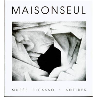 [MAISONSEUL] MAISONSEUL. Fontaine de Vaucluse. Pierre et eau. Peintures et dessins 1978-1982 - Catalogue d'exposition (Musée Picasso, 1988)