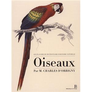 [ORBIGNY (d')] LES PLANCHES DU "DICTIONNAIRE D'HISTOIRE NATURELLE" : Mammifères, Oiseaux, Poissons & Coquillages, Insectes, Reptiles (5 volumes) - Par M. Charles d'Orbigny