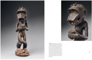 [Afrique - Côte d'Ivoire] BAULE Monkeys - Jean-Louis Danis et Bruno Claessens