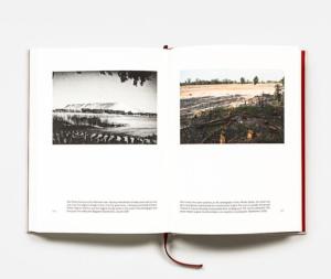 [GOLDBLATT] DAVID GOLDBLATT. The Last Interview - Alexandra Dodd
