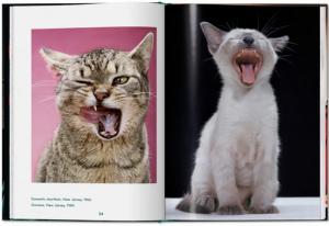 [CHANDOHA] CATS. Photographs 1942 - 2018 - Walter Chandoha. Texte de Susan Michals (po)