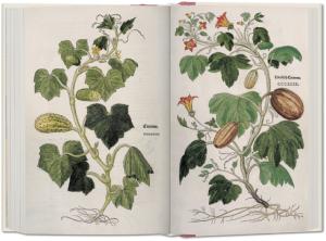 LE NOUVEL HERBIER. Edition complète et coloriée de 1545 - Leonhart Fuchs (livre + livret)